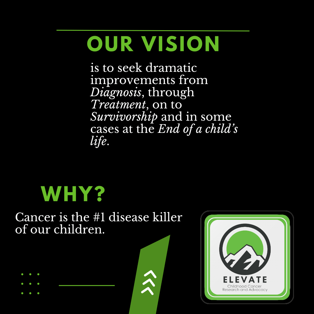 2 Our Vision and Why