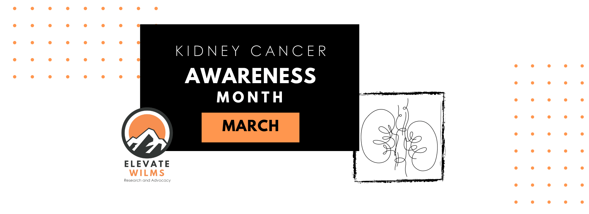 Pediatric Kidney Cancer. Kidney cancer awareness, advocacy and research. Elevate Wilms. Wilms tumor.