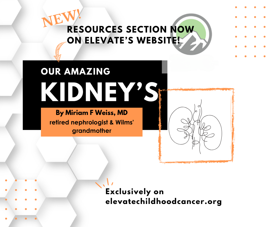Kidney resources. Wilms tumor information. Kidney function. Elevate Wilms.