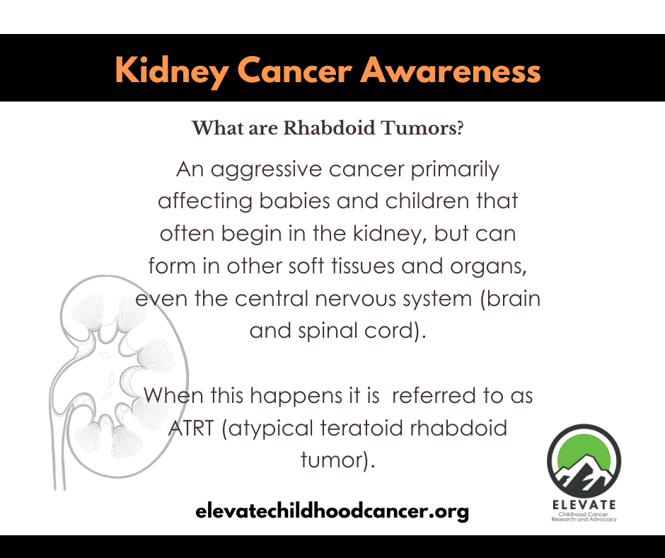 Rhabdoid tumors explained. Pediatric Renal tumor and kidney cancer awareness.