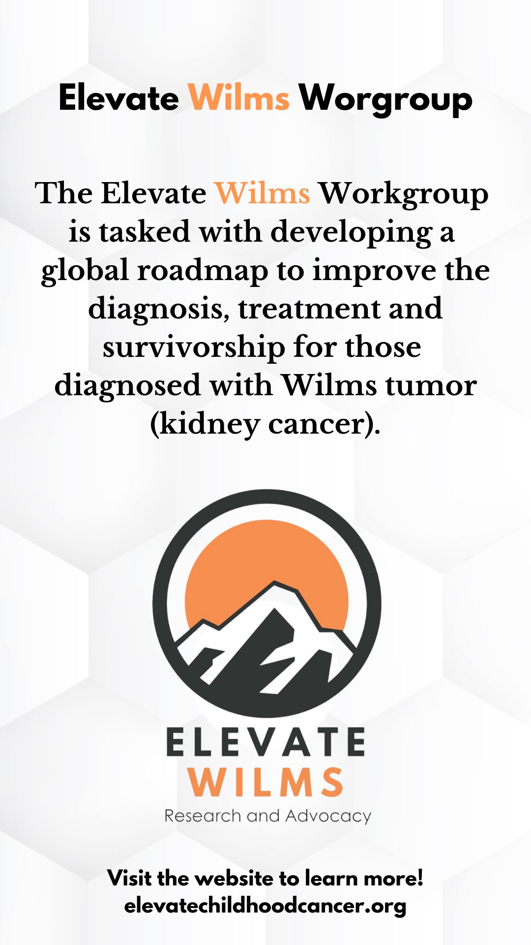 Elevate Wilms workgroup priorities and the global roadmap to improve treatments and survivorship.