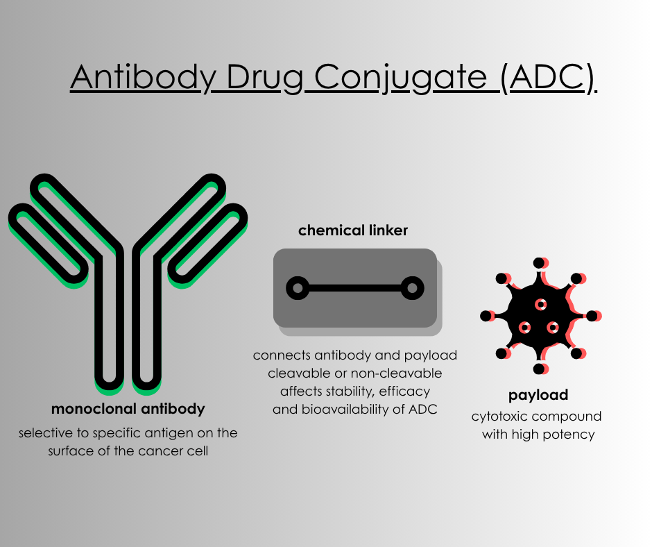 add image, antibody drug conjugate