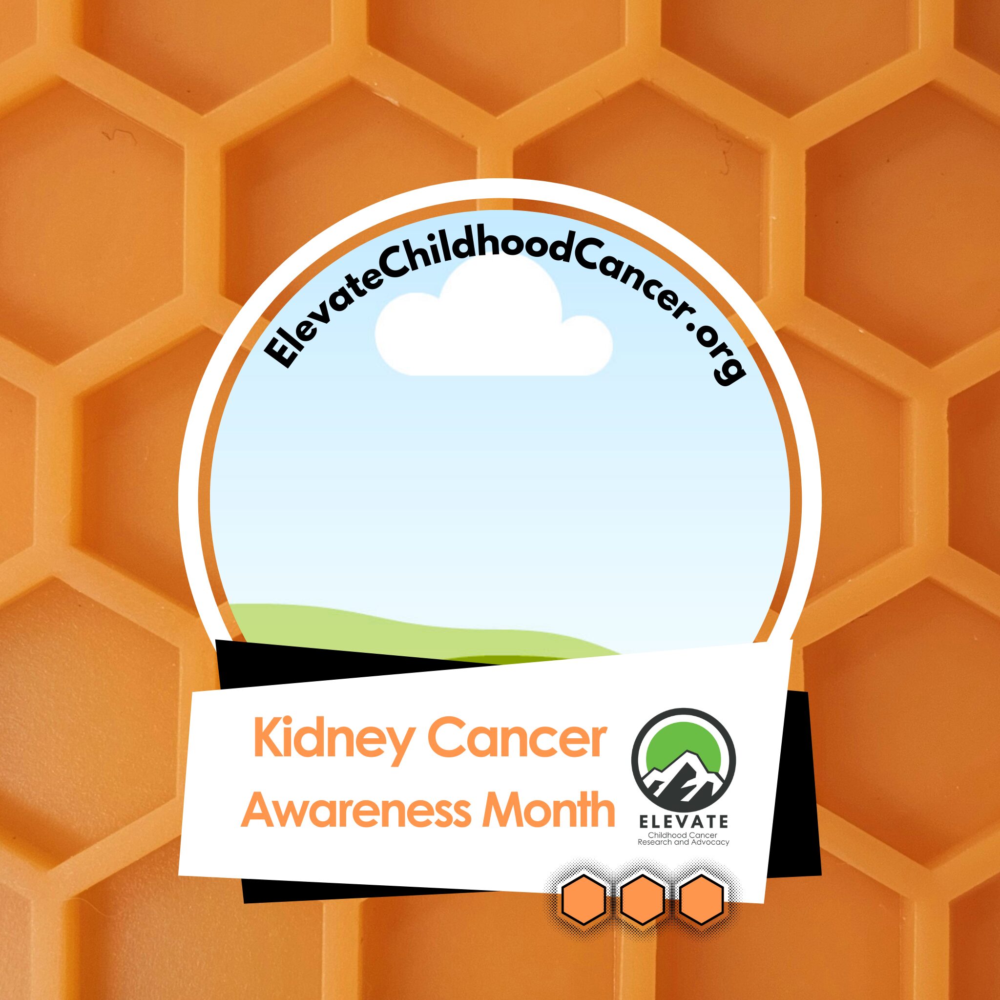 Social Media Profile Template, kidney cancer awareness.