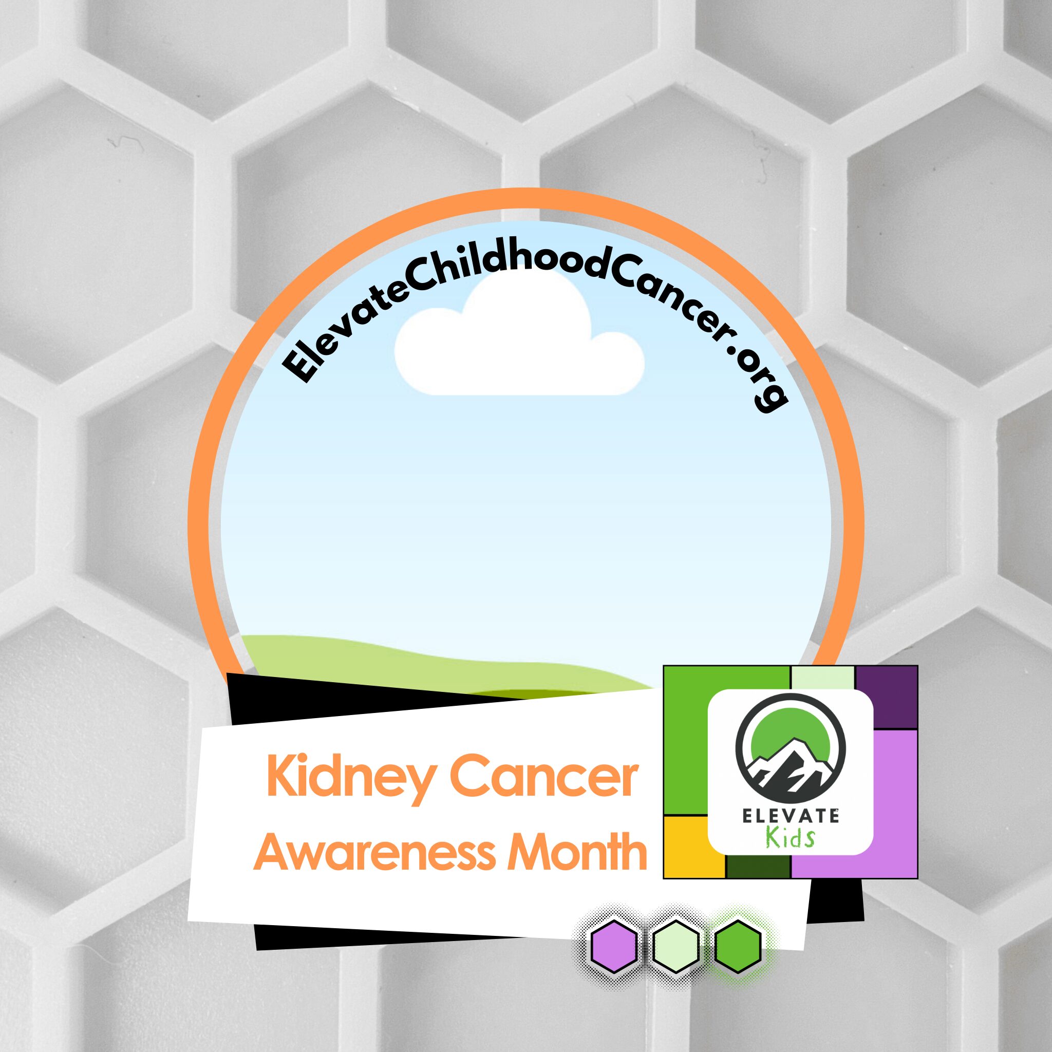 Kidney Cancer Awareness, Elevate Kids, profile template