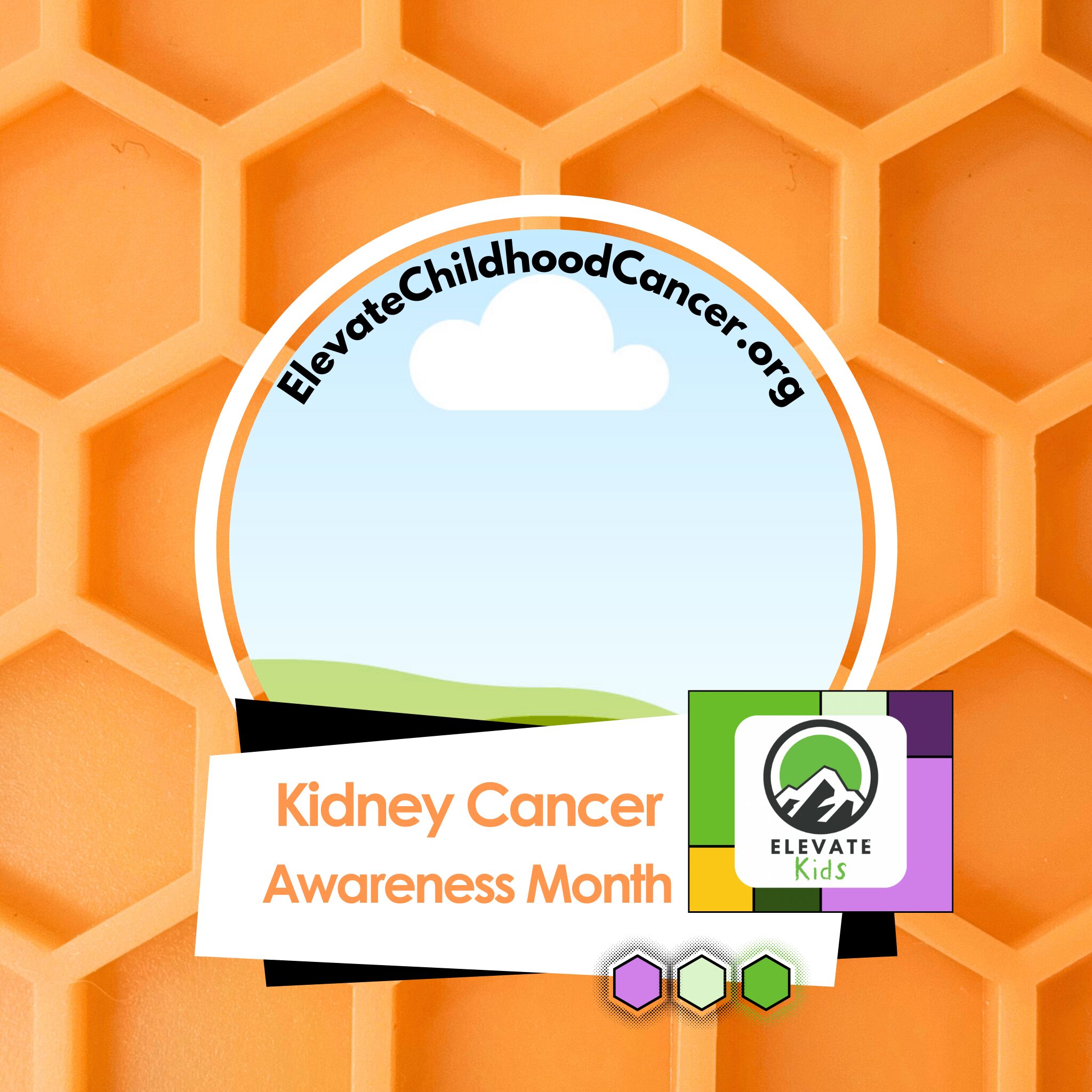Social Media Profile Template, kidney cancer awareness.