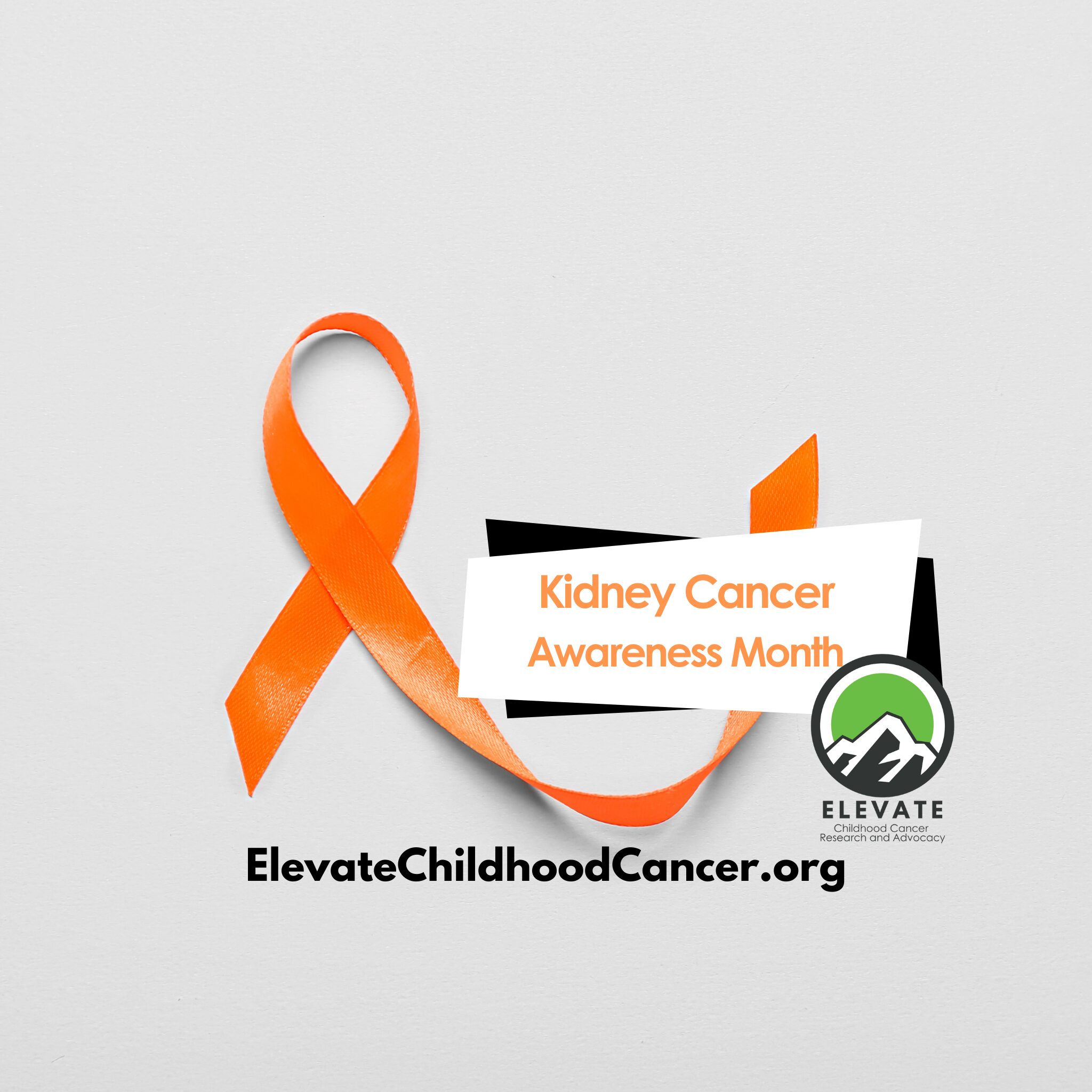Kidney Cancer Awareness, Elevate Childhood Cancer, profile template